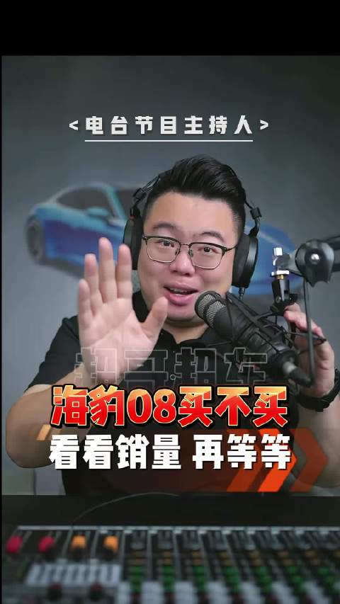海豹08怎么样？理性买车，可以等等销量再决定
