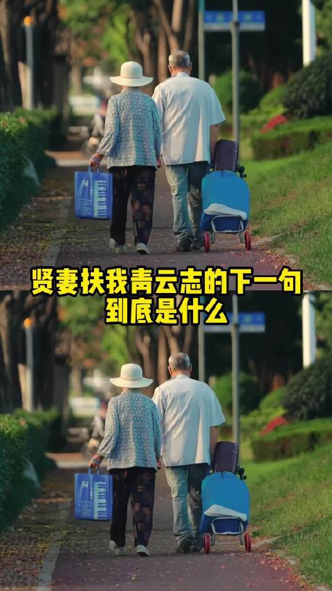 贤妻扶我青云志的下一句到底是什么