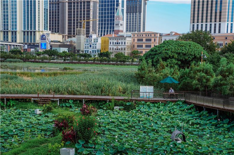 澳门也有安静人少的公园，是最惬意的城市角落，小众打卡好去处