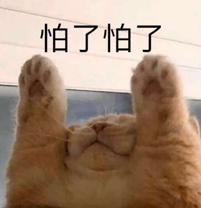 2020.7.1 今日份沙雕表情包合集