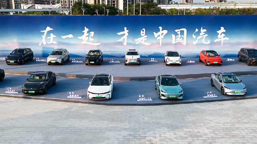 11月销量解读 国产新能源汽车再立行业之巅 合资品牌日渐式微