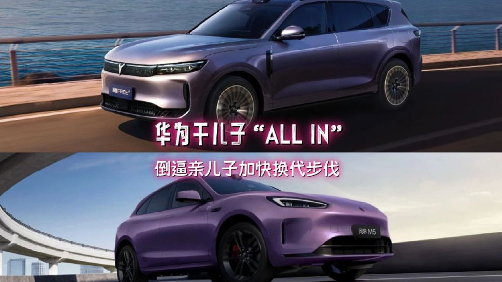 “庶子” 倒逼华为“嫡子”加快换代步伐