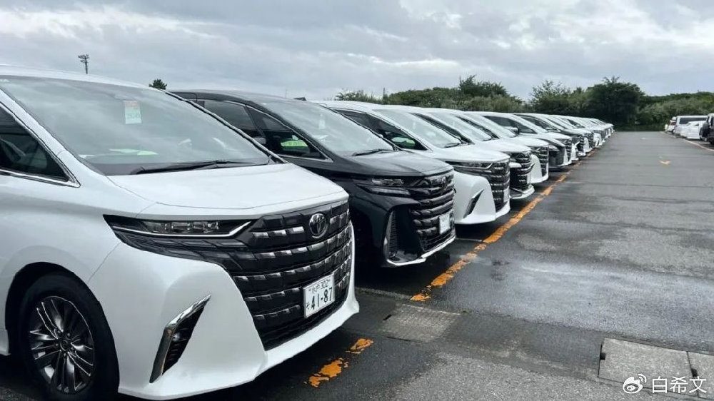 控制丰田埃尔法加价的幕后到底是谁