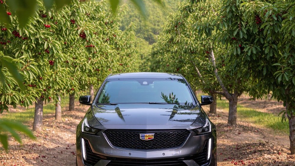 凯迪拉克CT5为何会消耗过多润滑油