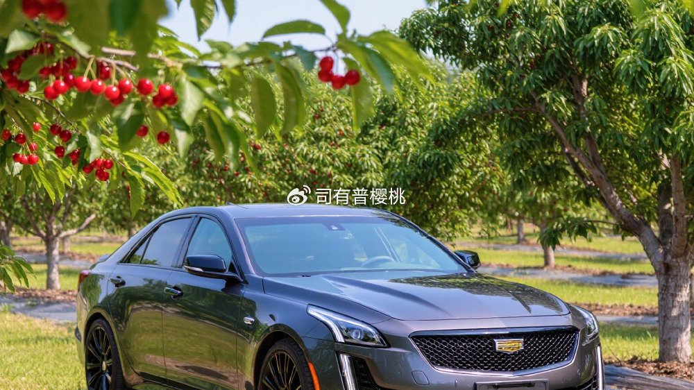 解析凯迪拉克CT5的燃烧问题