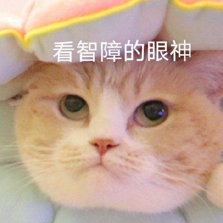 表情包看智障的眼神