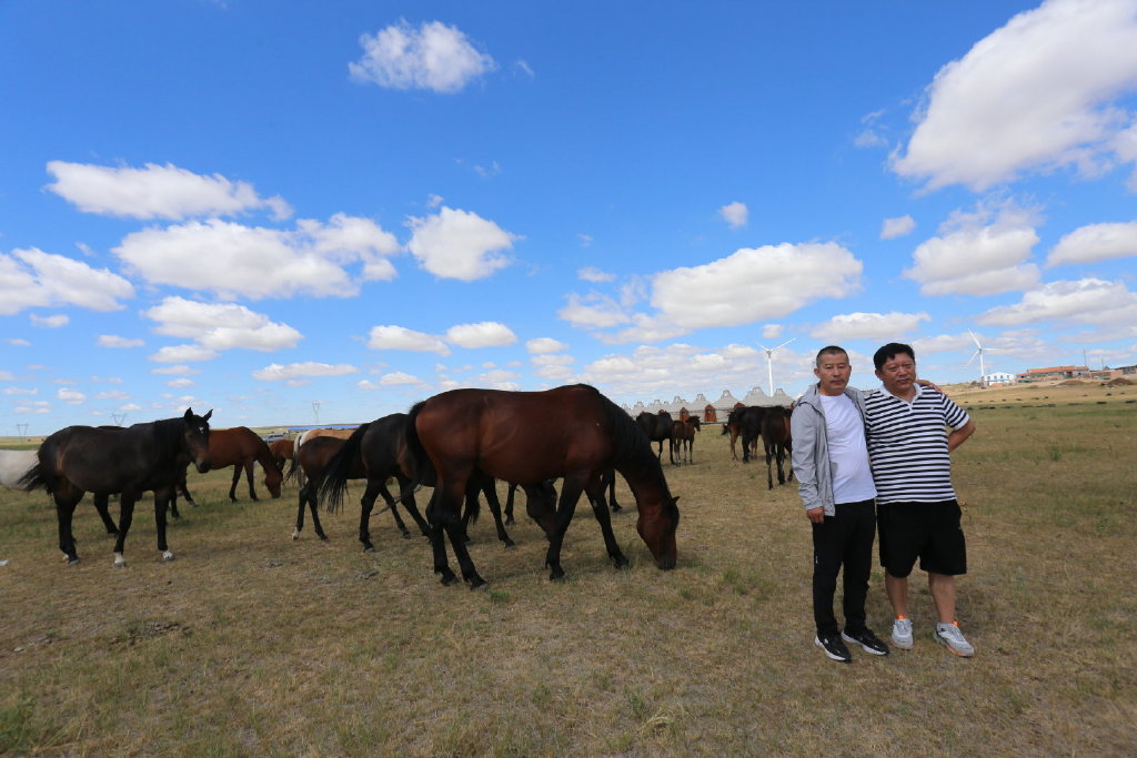 四海朋友草原汇火树银花不夜天亲爽美绿草原之行收获丰，系列之一概览