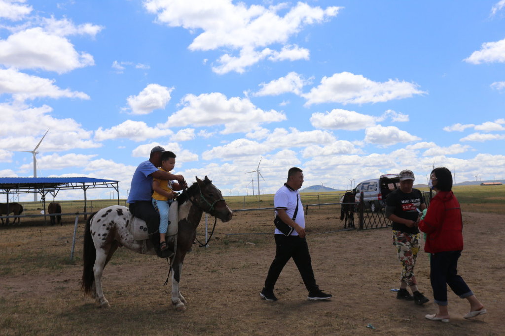 四海朋友草原汇火树银花不夜天亲爽美绿草原之行收获丰，系列之一概览
