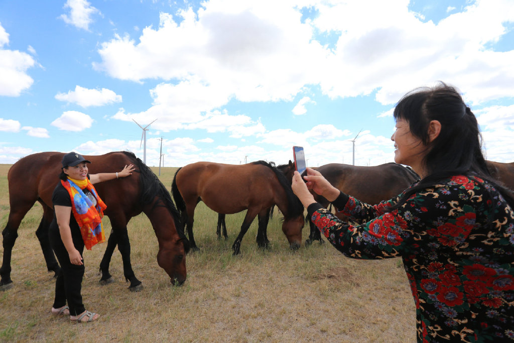 四海朋友草原汇火树银花不夜天亲爽美绿草原之行收获丰，系列之一概览