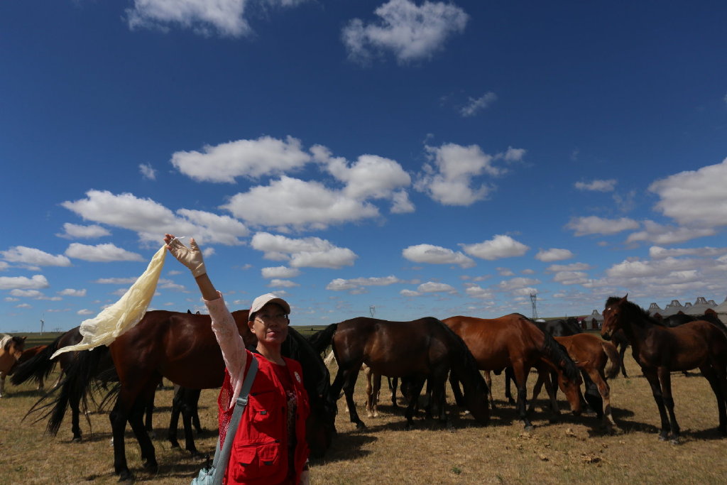 四海朋友草原汇火树银花不夜天亲爽美绿草原之行收获丰，系列之一概览