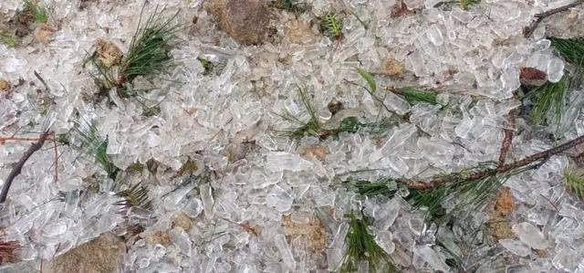 下雪了!下雪了!漳州也将收获霜冻、结冰休闲区蓝鸢梦想 - Www.slyday.coM 下雪了!下雪了!漳州也将收获霜冻、结冰休闲区蓝鸢梦想 - Www.slyday.coM