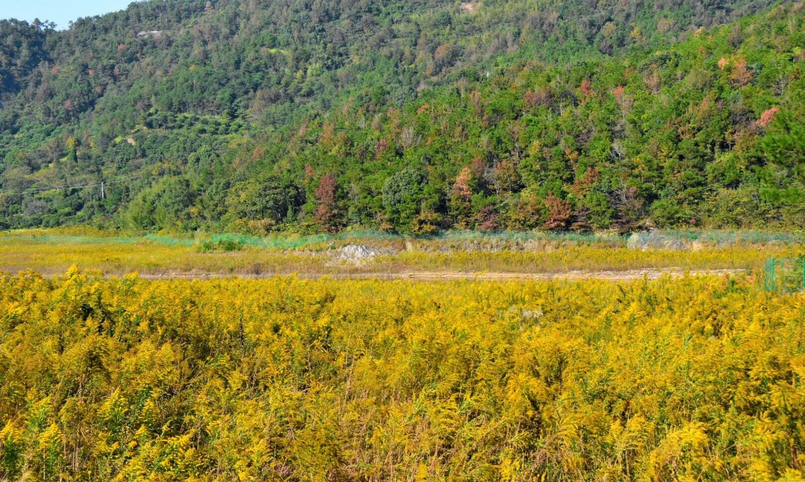 危害不输水葫芦!<a href=