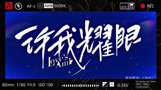 请选择你的「2025年度现代剧TOP」