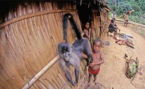 狗肉到底能不能吃？<a href=