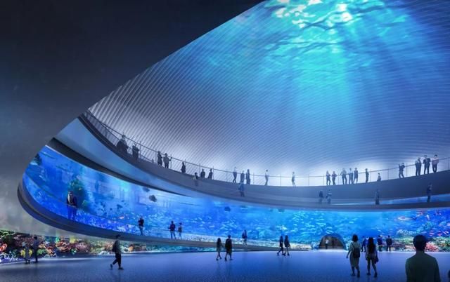 根据最新调查显示，中医馆大保健私密按摩到底靠不靠谱，如何辨别正规服务与专业调理指南