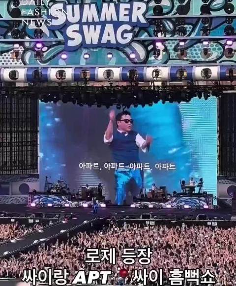 彩英现身鸟叔演唱会同台apt