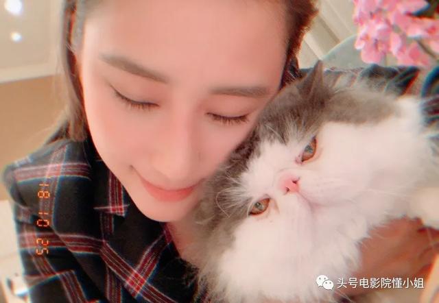 汪明荃爱犬住海景豪宅,何鸿燊家族爱狗爱猫,香港名流的宠物命不同