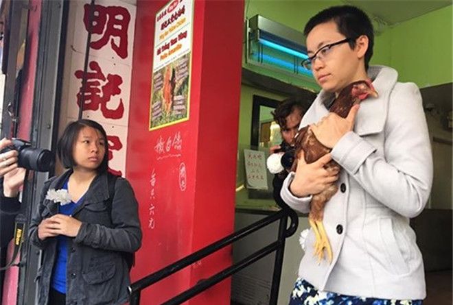 狗肉到底能不能吃？<a href=