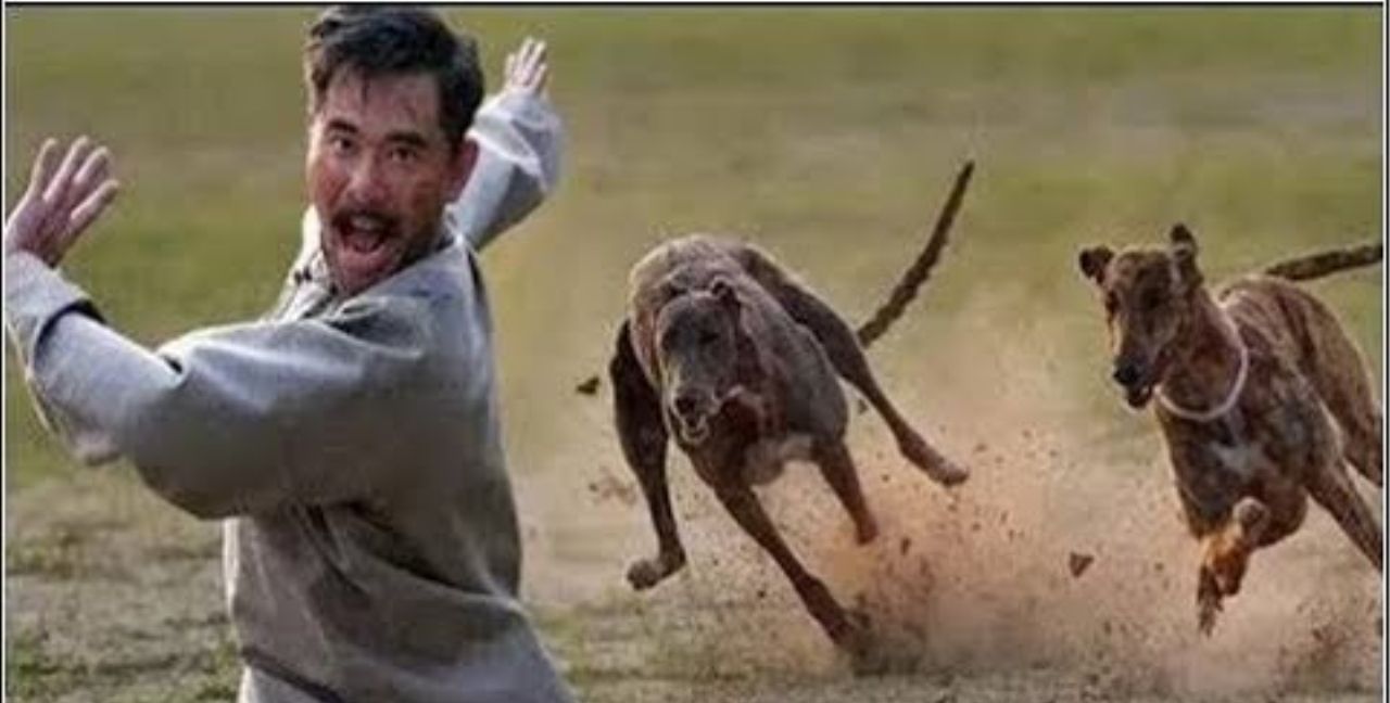 狗肉到底能不能吃？<a href=