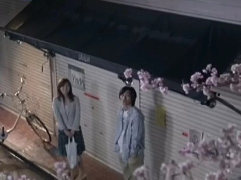 高野健一的樱花三部曲书写了怎样的故事