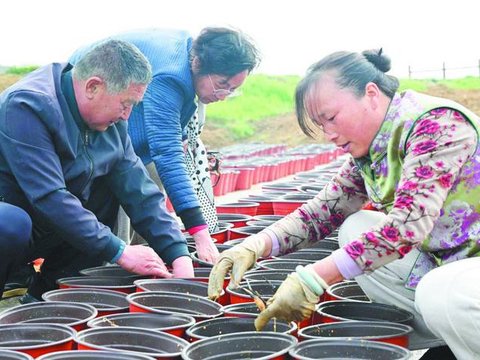 荷香助残 绽放共富芬芳