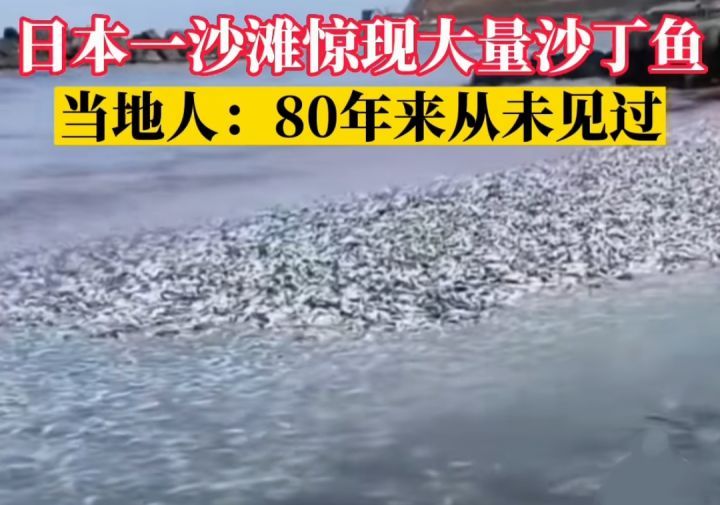 四座火山喷发,沙滩铺满沙丁鱼,群鸟惊飞,日本这是也要地震了吗休闲区蓝鸢梦想 - Www.slyday.coM 四座火山喷发,沙滩铺满沙丁鱼,群鸟惊飞,日本这是也要地震了吗休闲区蓝鸢梦想 - Www.slyday.coM