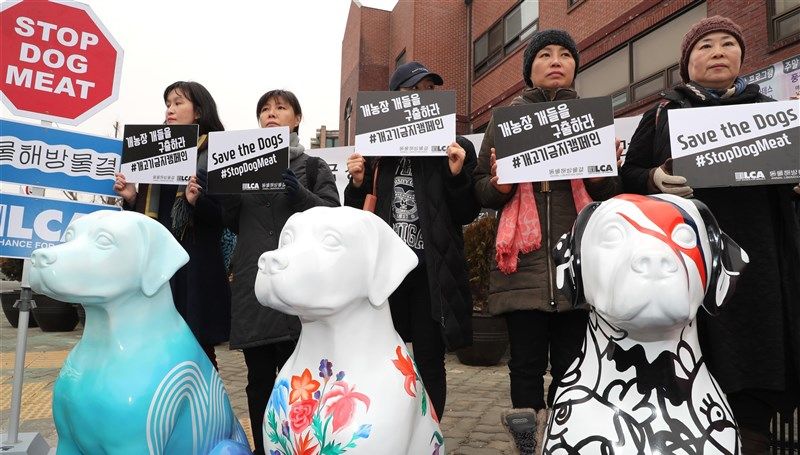 狗肉到底能不能吃？<a href=