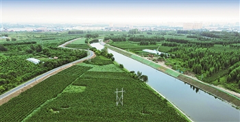 该项目部承建的沧州市大运河文化带堤顶路贯通工程,包括道路,绿化