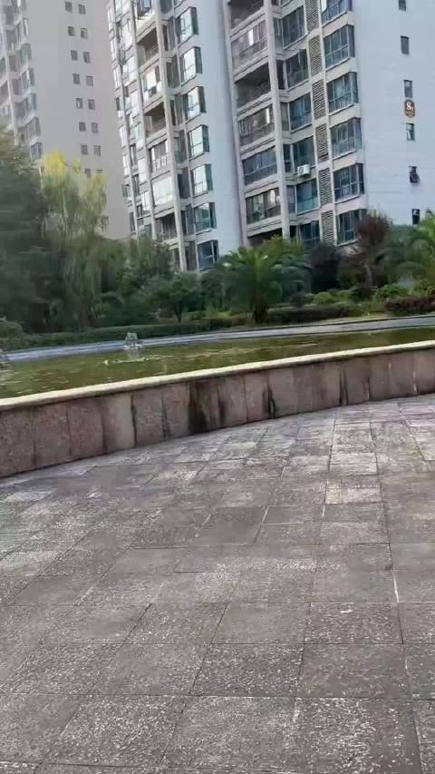 土行孙想捉拿姜子牙 怎料惊动了自己的师傅下山 这下好看了