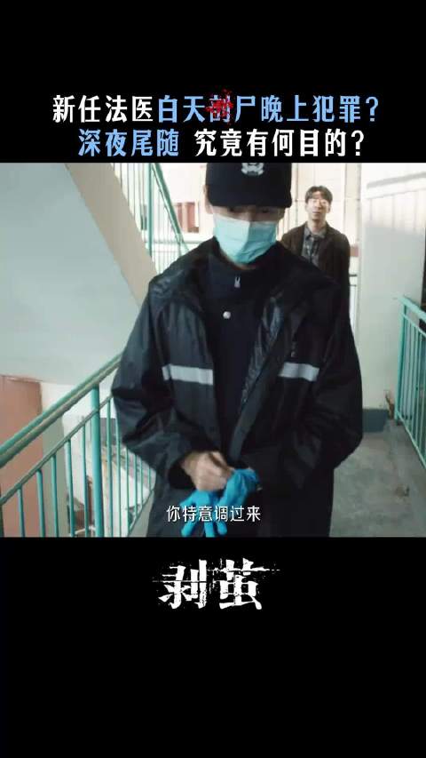 法医白天模范同事晚上涉案，罗云熙齐思哲案件引关注