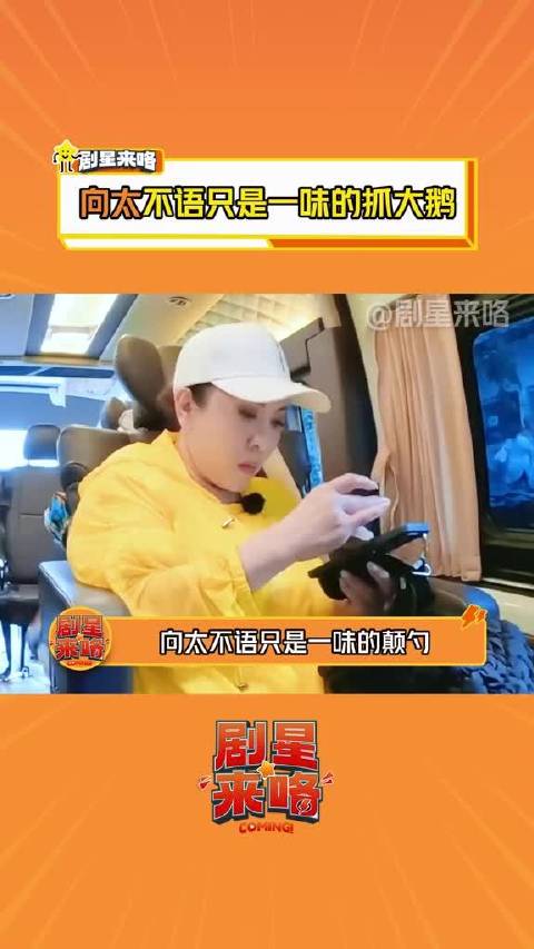 我居然和向太有同样的爱好，演我抓大鹅