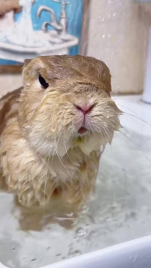 江衡李沛恩吵架后