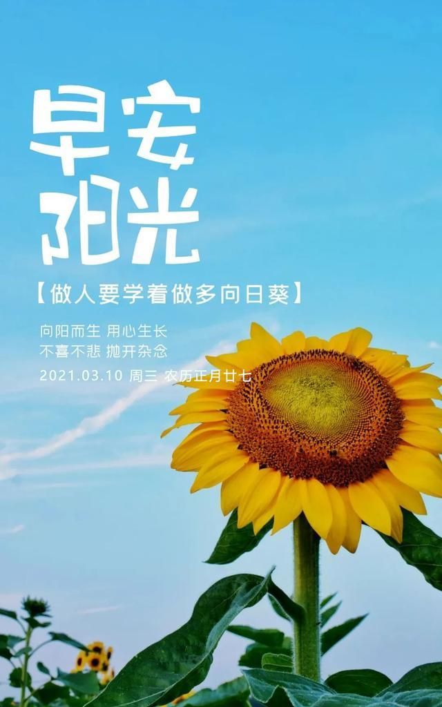 3.10正能量早上好奋斗语录配图片,阳光勉励图片带字,像花儿绽放