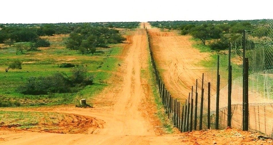 狗肉到底能不能吃？<a href=