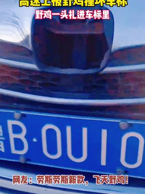 劳斯莱斯新款，飞天野鸡！撞