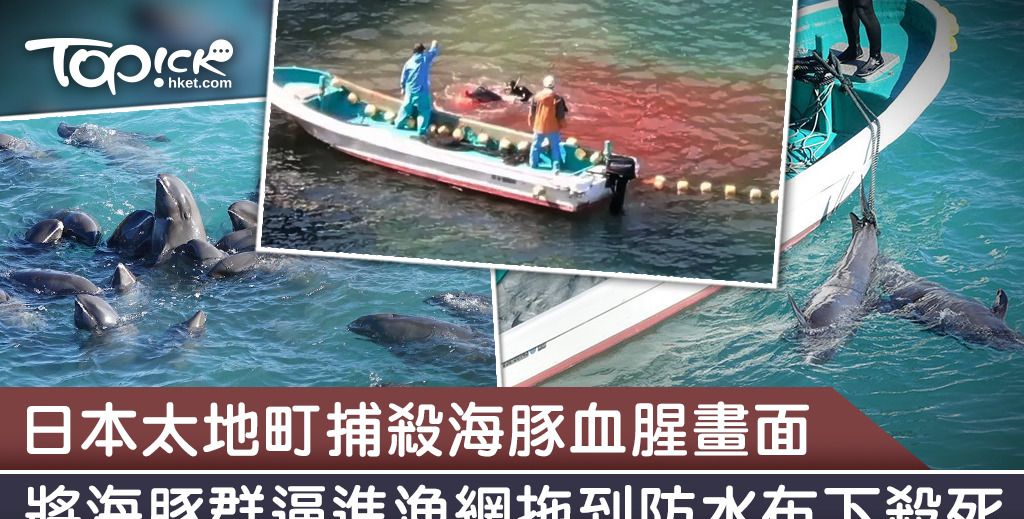 狗肉到底能不能吃？<a href=