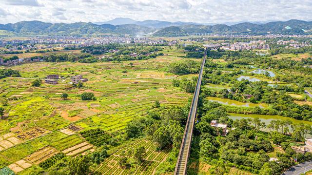 广东有座见证了历史的桥梁，如今已成重点文物保护单位！