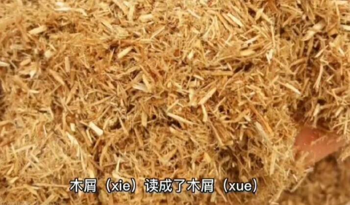 被批“绝望的文盲”,黄多多为读错字道歉:承认不足接受指正批评休闲区蓝鸢梦想 - Www.slyday.coM 被批“绝望的文盲”,黄多多为读错字道歉:承认不足接受指正批评休闲区蓝鸢梦想 - Www.slyday.coM