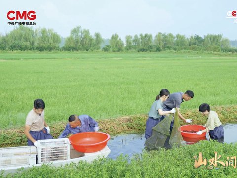 闫妮、许魏洲水田劳作初体验，《山水间的家》探索“美味”致富路_CCTV专区