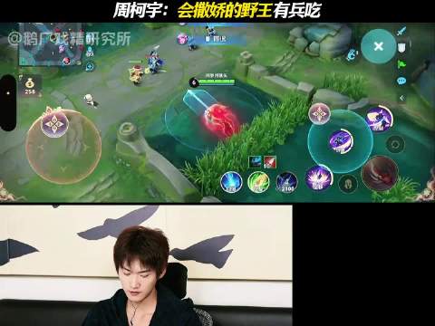 周柯宇：会撒娇的野王有兵吃