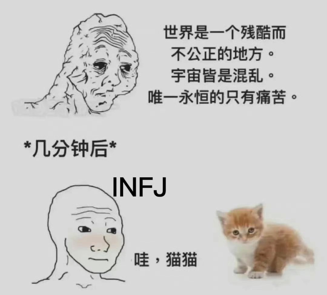 阿杜接回来了，梳个毛也不老实，不行必须马上抱起来rua