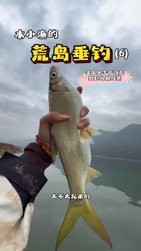 荒岛垂钓赢百万大奖第六天，大黄尾连杆，还找到了野生韭菜！