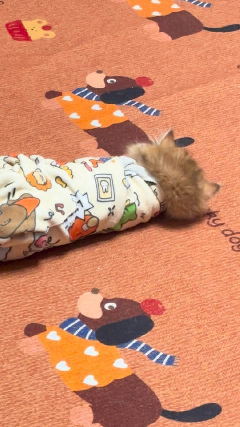 拖拉机