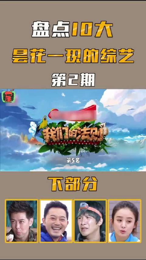 盘点10大昙花一现的综艺（第二期）下，哪些最可惜？