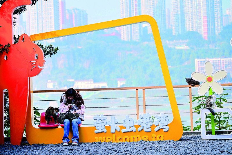 闲置荒地变身萌宠乐园