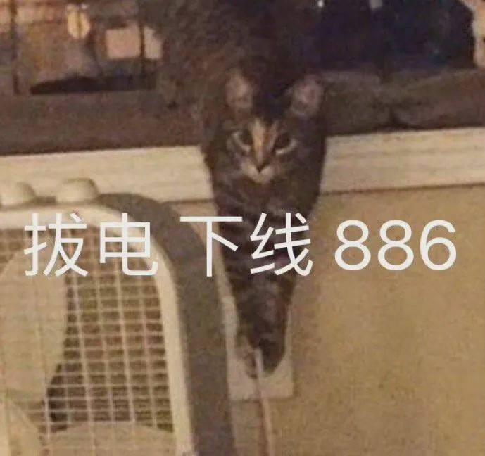 表情包拔电下线886