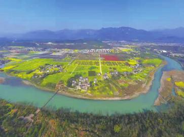 去年油菜花田里"种"出"诗仙圣景,拜见李白"景观的大康镇星火村,今年