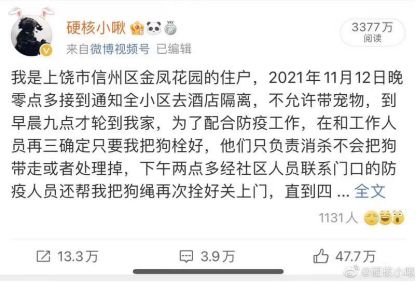 官方通报“隔离宠物狗遭扑杀”,记者对话当事人:事发后受到不小的压力休闲区蓝鸢梦想 - Www.slyday.coM 官方通报“隔离宠物狗遭扑杀”,记者对话当事人:事发后受到不小的压力休闲区蓝鸢梦想 - Www.slyday.coM