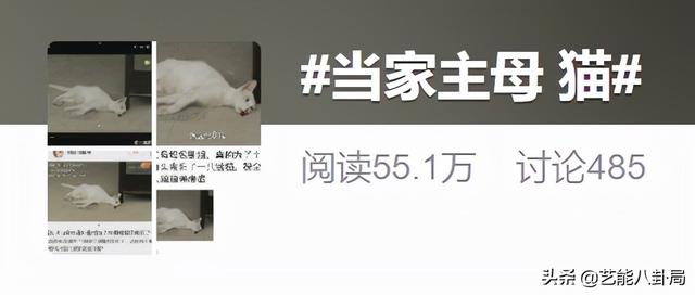 《当家主母》被指杀猫?猫猫演技过于逼真?网友要求剧组正面回应休闲区蓝鸢梦想 - Www.slyday.coM 《当家主母》被指杀猫?猫猫演技过于逼真?网友要求剧组正面回应休闲区蓝鸢梦想 - Www.slyday.coM