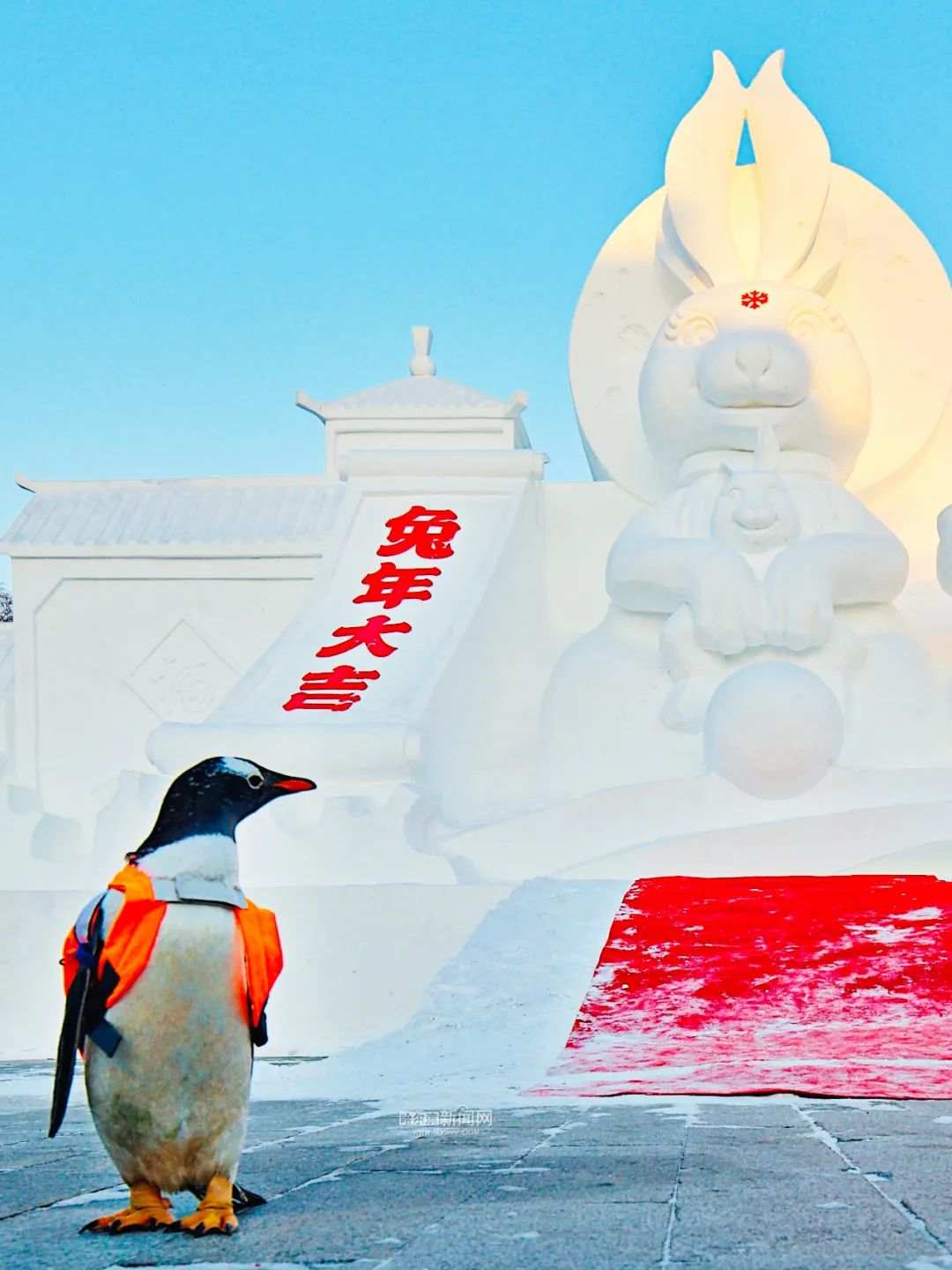 未来几日冰城暖空气势力增强|超多美图的天气预报休闲区蓝鸢梦想 - Www.slyday.coM 未来几日冰城暖空气势力增强|超多美图的天气预报休闲区蓝鸢梦想 - Www.slyday.coM
